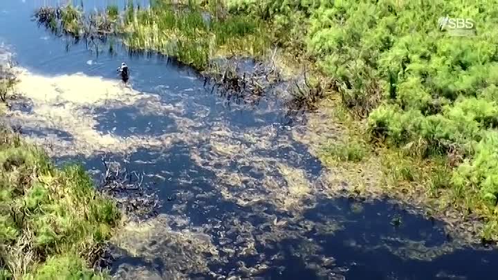 The Adriatic Sea S01E06 -Between Kotor and the Karaburun Peninsula
