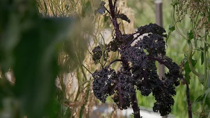 A Girl's Guide To Hunting Fishing And Wild Cooking S02E02