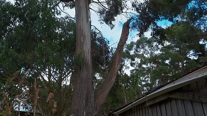 A Girl's Guide To Hunting Fishing And Wild Cooking S02E03