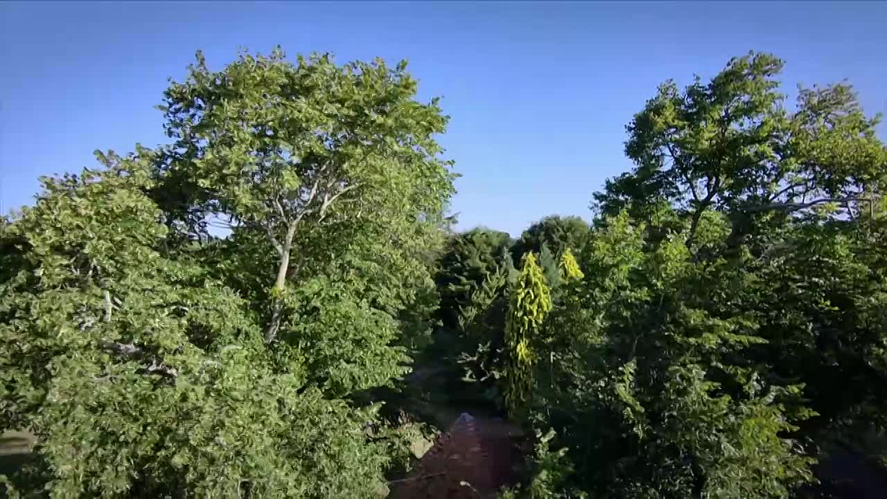 ⁣Saving Country Houses with Penelope Keith S01E05