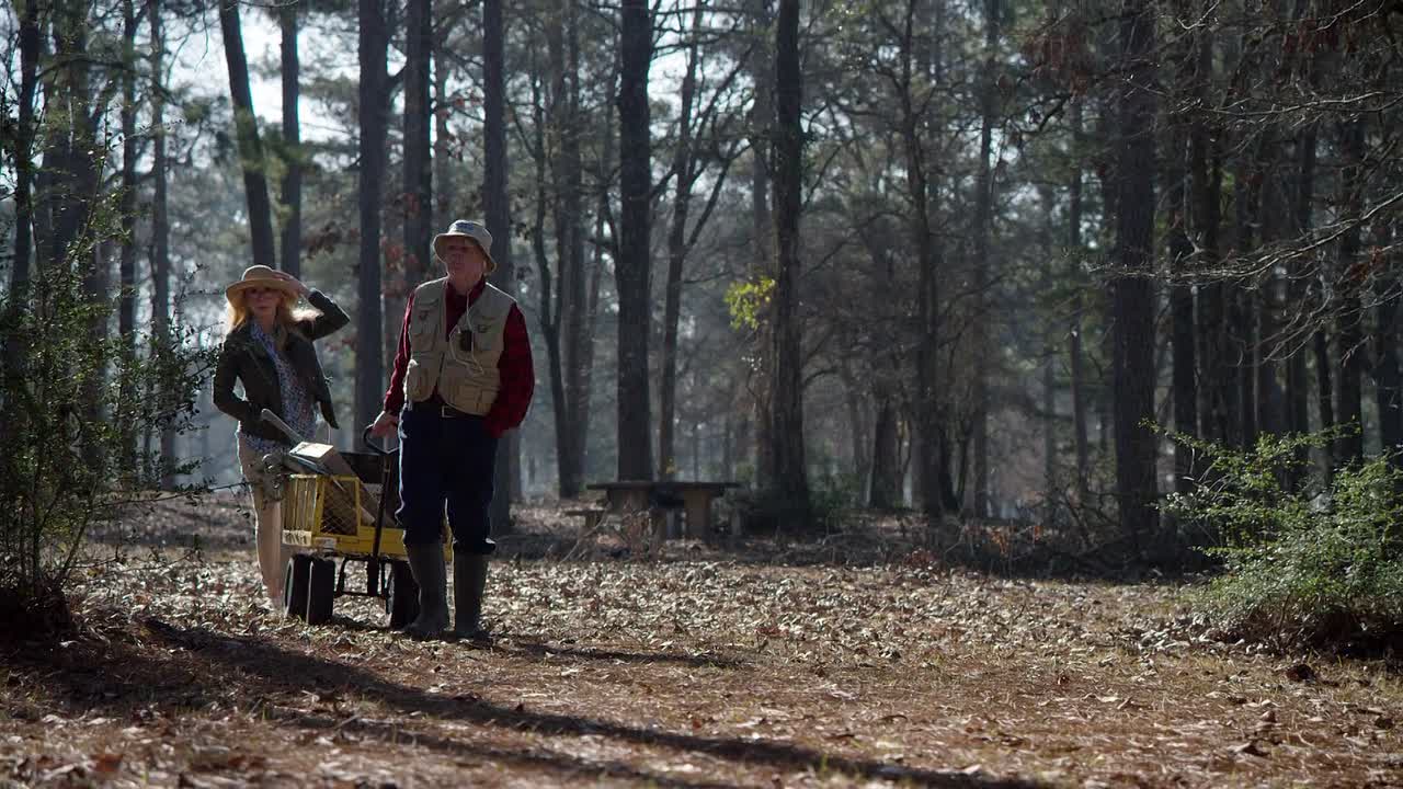 ⁣Shark Lake 2015 1080p BluRay x264 [YTS AG]