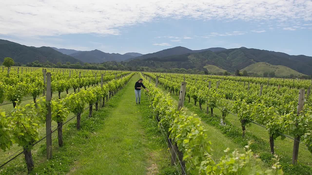 Country Calendar S61E01 Yarns from the Ridge 720p WEB-DL H264-QUANTiM