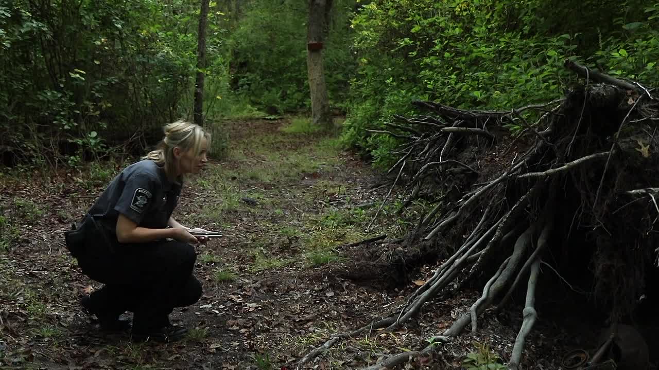 new jersey devil 2026 720p web h264-jff