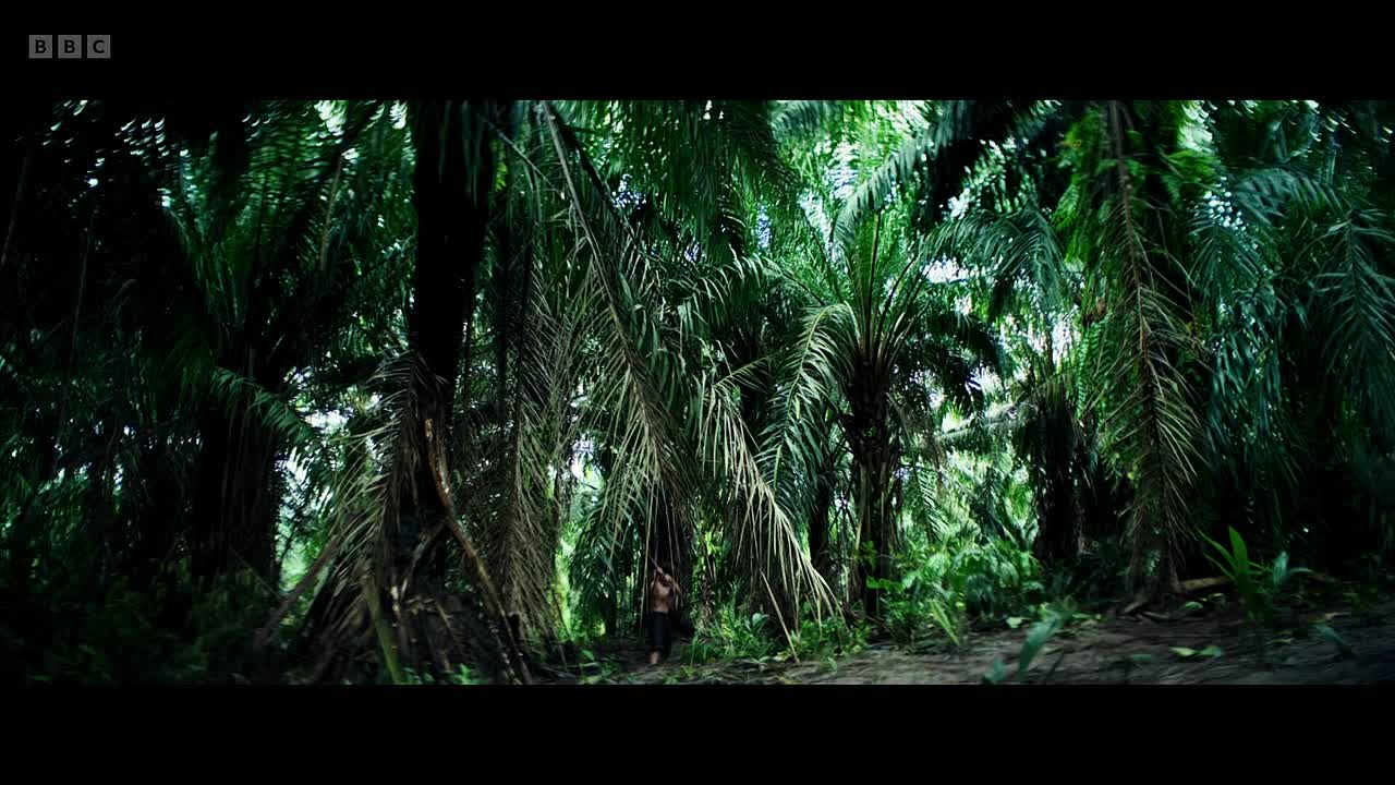 Lord of the Flies s01e04