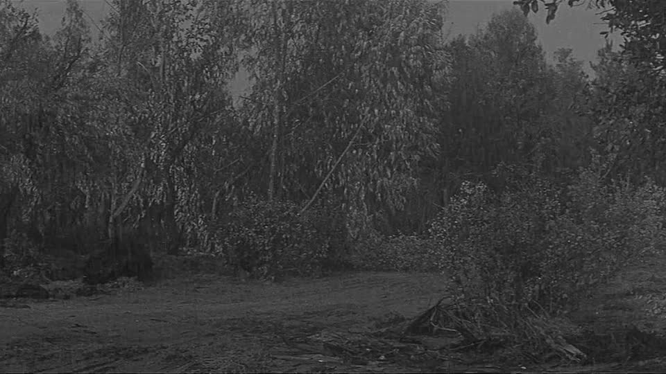 The Wayward Bus 1957 720p BluRay x264 AAC-[YTS BZ]