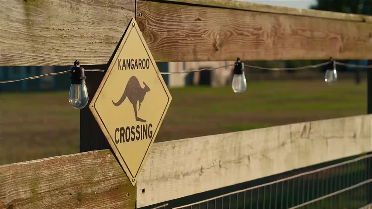 ⁣My Strange Addiction S07E06