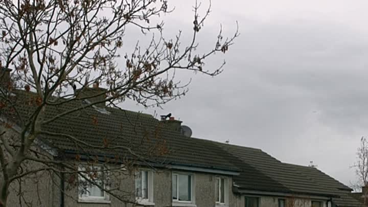 Be Good or Be Gone 2021 HDRip XviD AC3-EVO