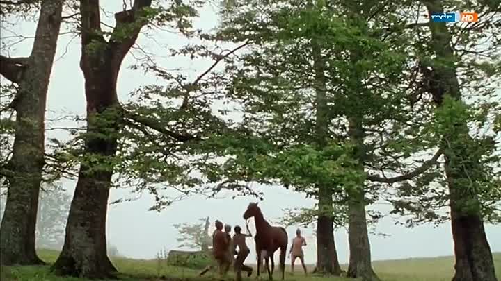 Blauvogel 1979 German AC3 HDTVRip x264