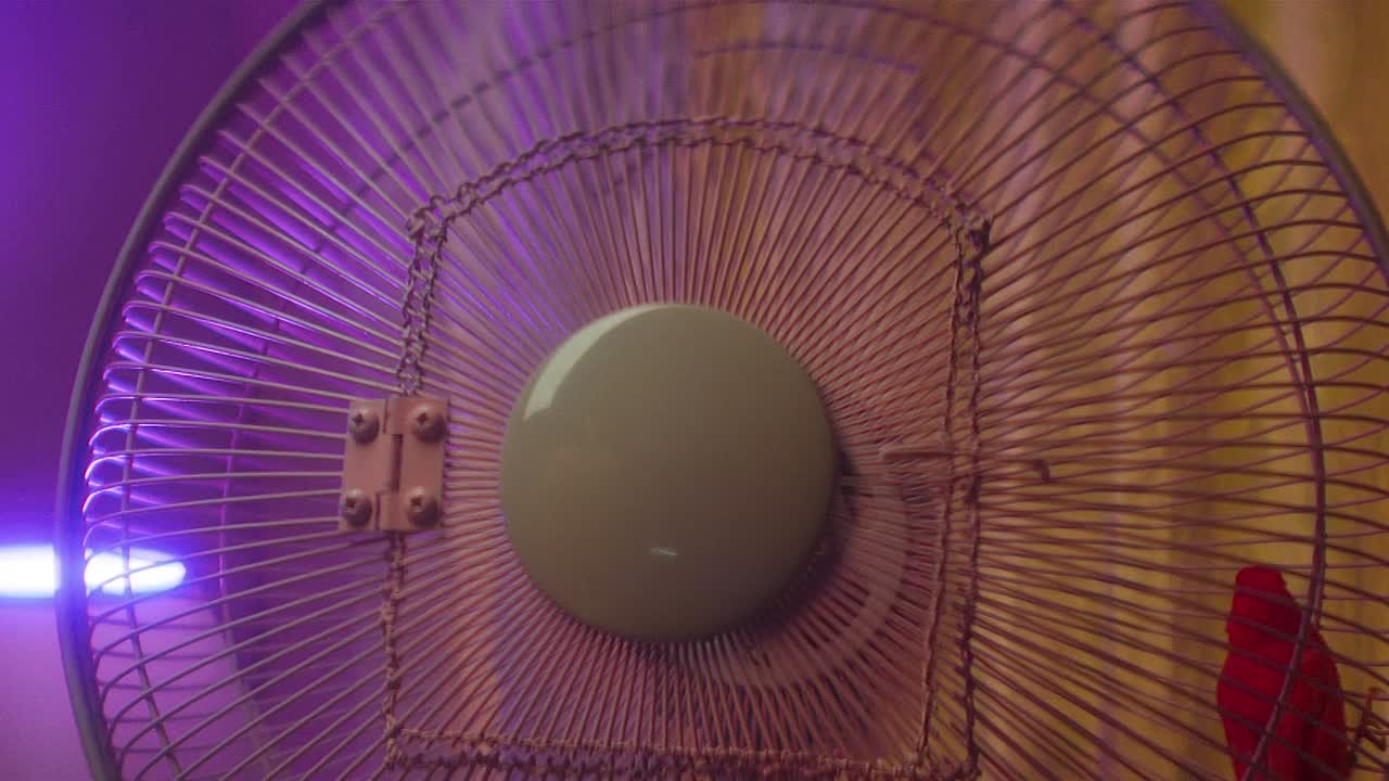 Timestalker 2024 1080p WEBRip x264 AAC5 1-