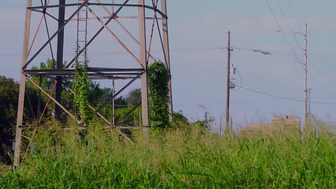 ⁣Homicide Squad New Orleans S03E05