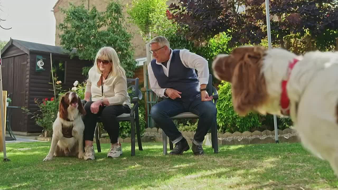 ⁣Dogs Behaving Very Badly S08E06 1080p MY5 WEB-DL AAC2 0 H 264-RAWR - Lulustre