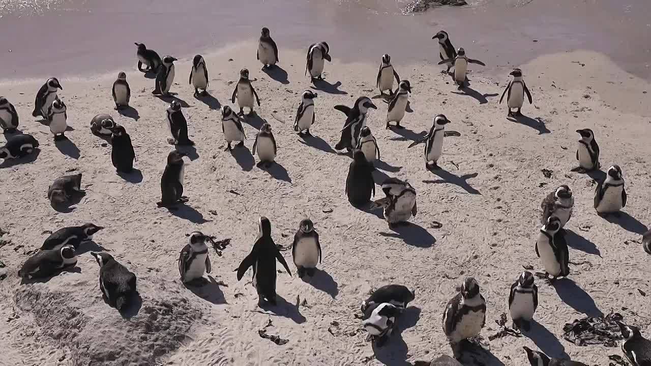 High Road Low Road S05E07 Cape Town SA with Flo McSweeny & Leslie Dowdall 108