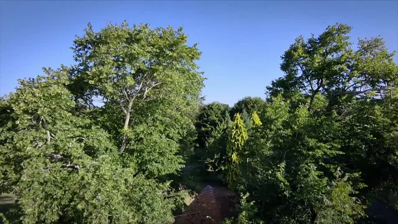 ⁣Saving Country Houses with Penelope Keith S01E05 720p WEB H264-JFF