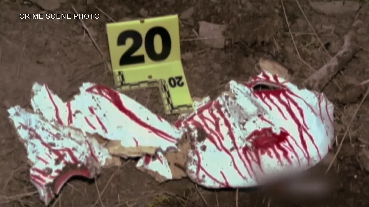 ⁣The Scream Murder A True Teen Horror Story S01E02 Just Like Scream 1080p DSNP