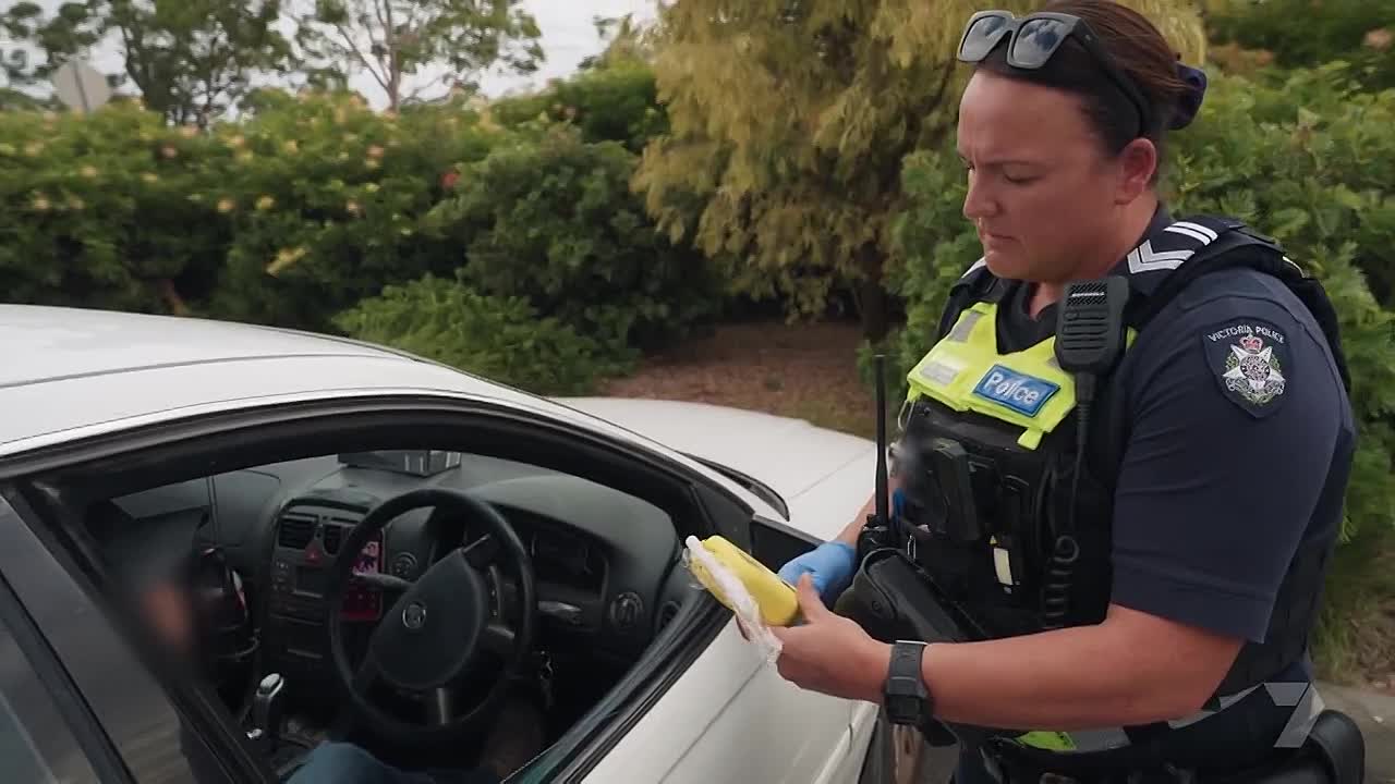 ⁣Highway Patrol S14E02 - 1080p HDTV PineBox - DoodStream