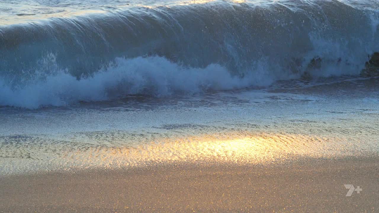 Home And Away S39E021 720p WEB-DL AAC2 0 H 264-WH - DoodStream