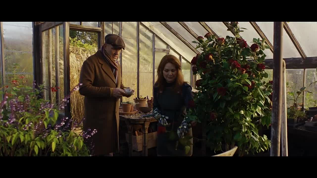 R 2026 720p WEB x264-RGB