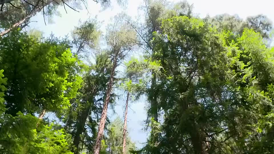 Watch A New Life in the Sun S11E28 (Feb 11 2026) [540p mp4].mp4 - VOE - Conte