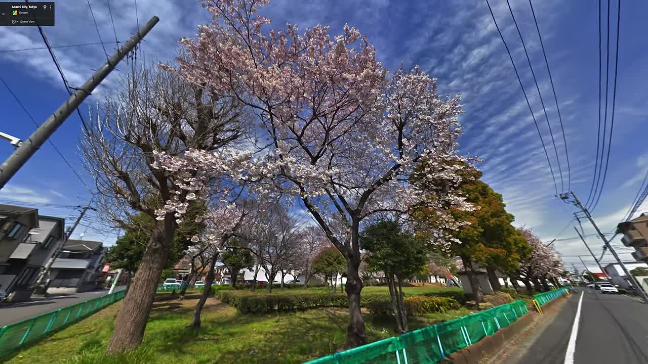 ⁣Therapy Dogs 2022 1080p WEBRip x264 AAC-[YTS BZ]