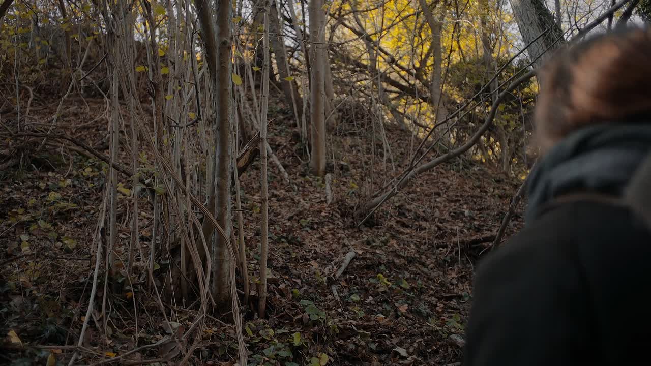 Trifole 2024 1080p BluRay x264 AAC5 1-[YTS BZ]