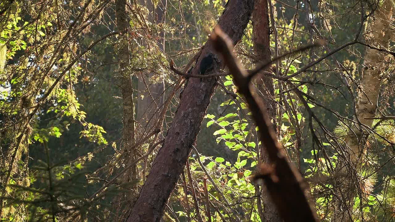 Extracted S02E05 1080p WEB h264-EDITH