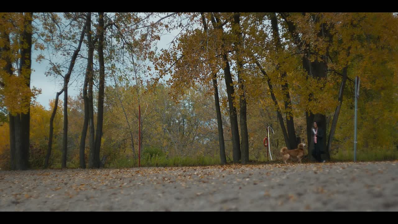 ⁣Memory of a Killer S01E05 1080p WEB h264-EDITH