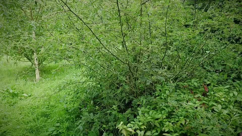 Prue Leith's Cotswold Kitchen S03E07 (Feb 14 2026) [576p mp4] - Byse