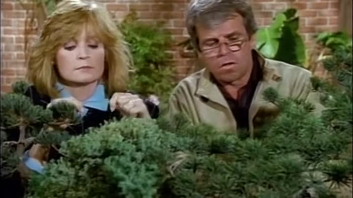 ⁣Knots Landing S08E13 The Inside Man