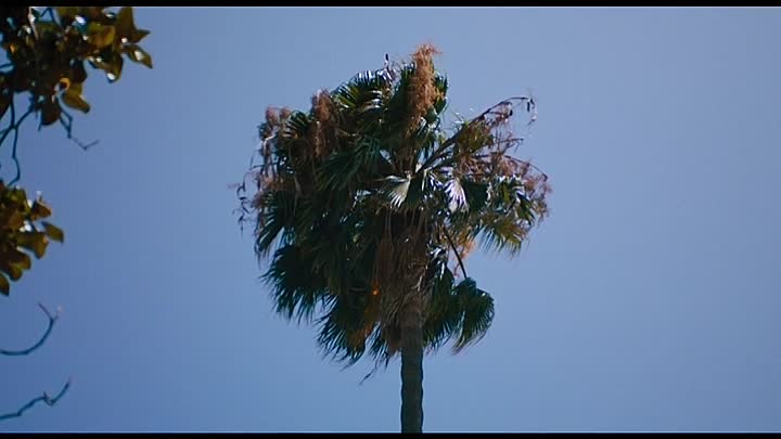 Stalker 2021 HDRip XviD AC3-EVO