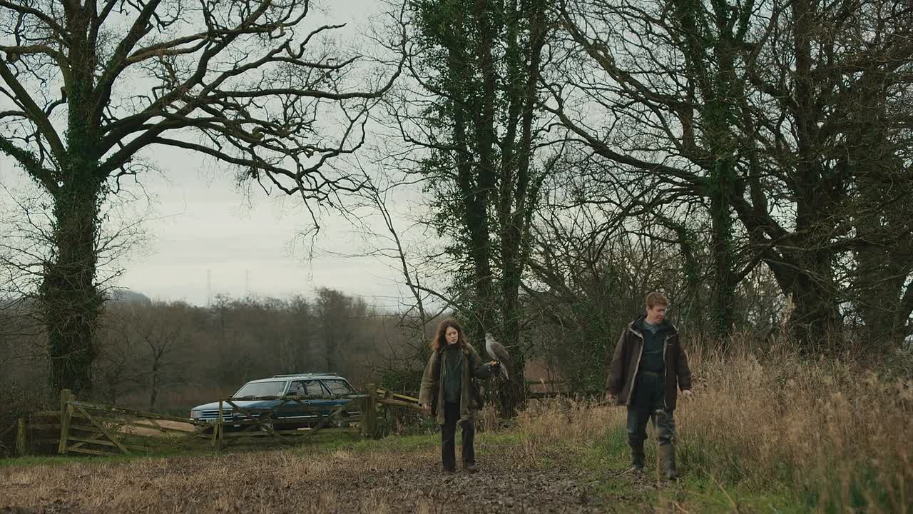 ⁣H Is For Hawk 2025 1080p WEBRip x264 AAC5 1-[YTS BZ]