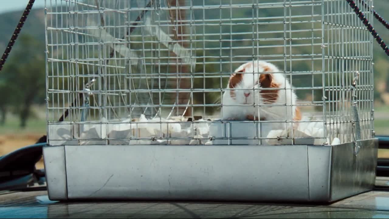 ⁣Doctor Dolittle 1998 1080p BRrip x264 YIFY