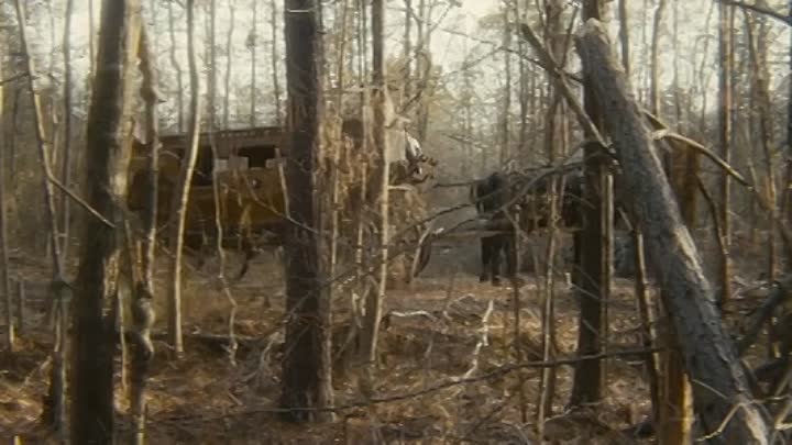 Bastards Crossing 2021 HDRip XviD AC3-EVO