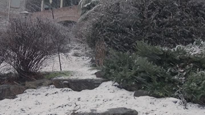 ⁣Calm Before 2021 HDRip XviD AC3-EVO