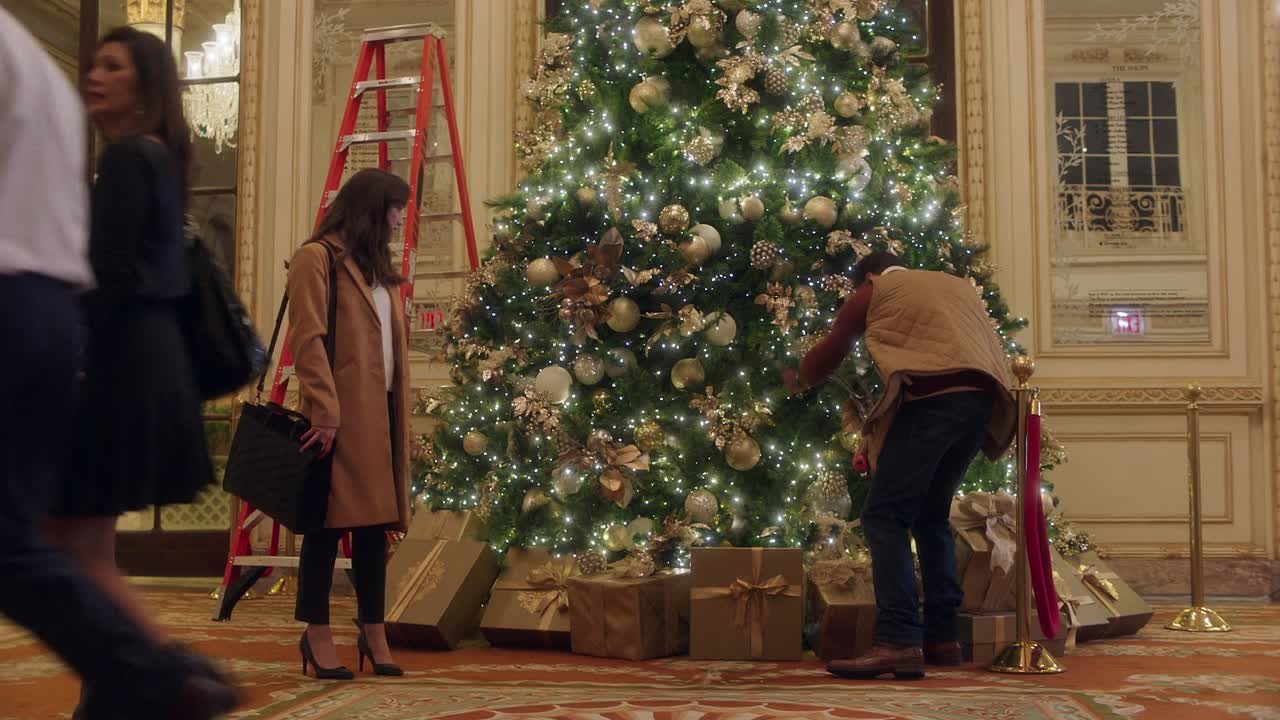 Christmas At The Plaza 2019 1080p WEBRip x264 AAC-