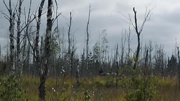 The Rifleman 2021 HDRip XviD AC3-EVO