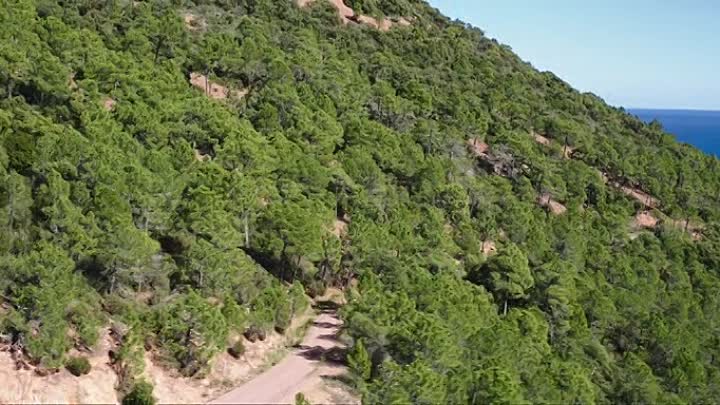 France 2021 FRENCH BDRip XviD-EXTREME