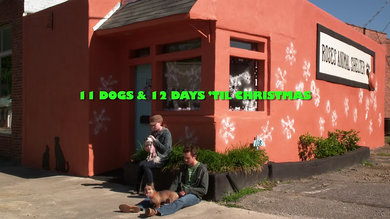 ⁣12 Dog Days Till Christmas 2014 1080p WEBRip x264 AAC-