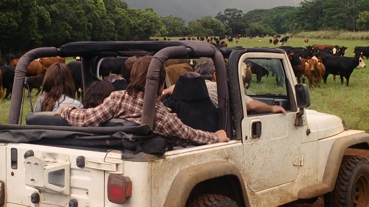 The Descendants 2011 1080p BluRay x264 AAC5 1-