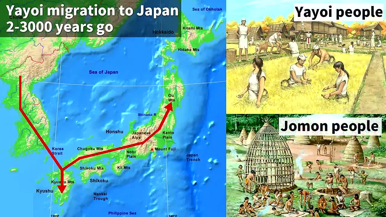 The Japanese Language