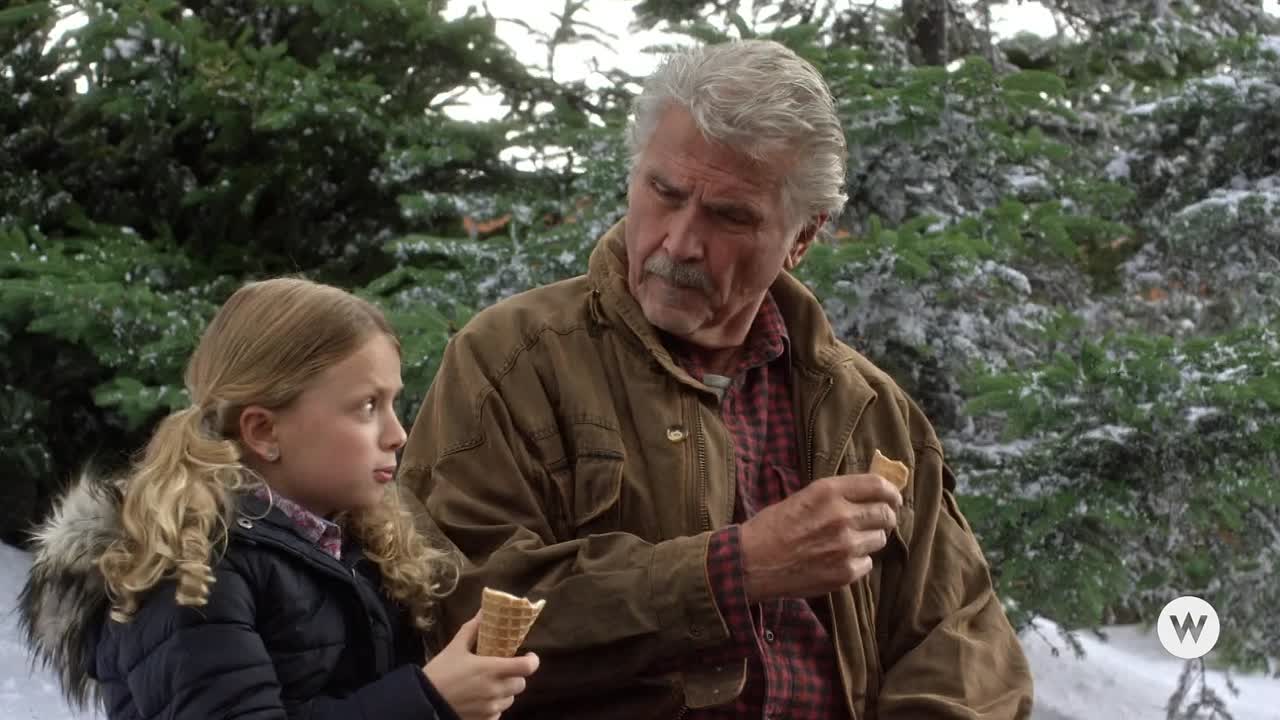 Ill Be Home For Christmas 2016 1080p WEBRip x264 AAC5 1-