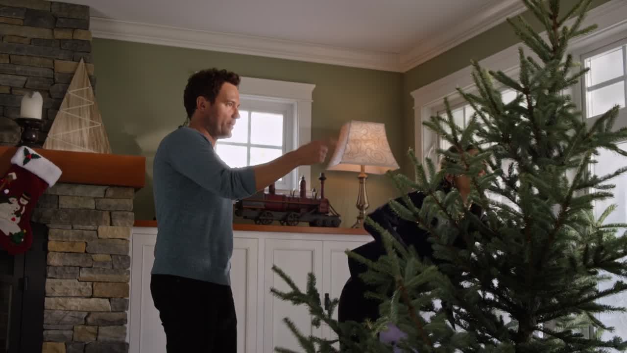 ⁣My Christmas Dream 2016 1080p WEBRip x264 AAC5 1-