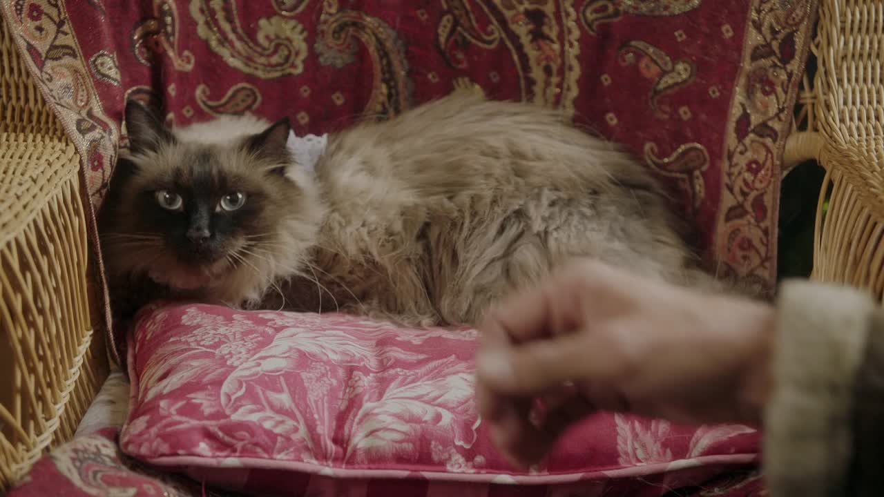 A Christmas To Remember 2016 1080p WEBRip x264 AAC5 1-