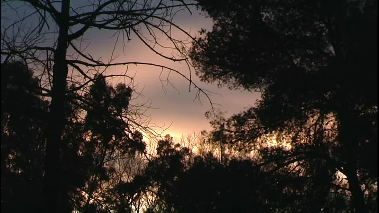 The Man From Earth 2007 1080p x264 YIFY