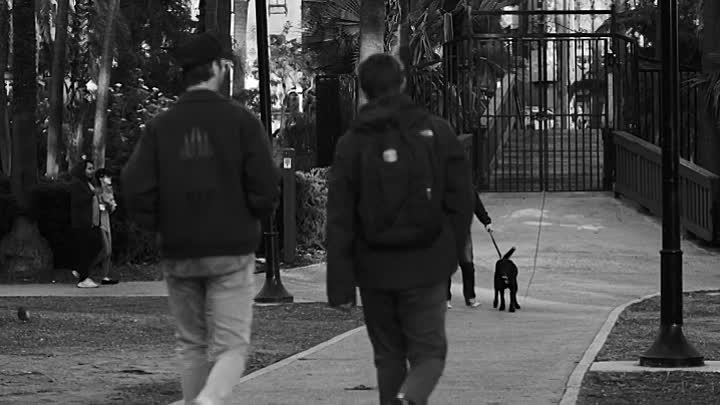 Laguna Ave 2022 HDRip XviD AC3-EVO