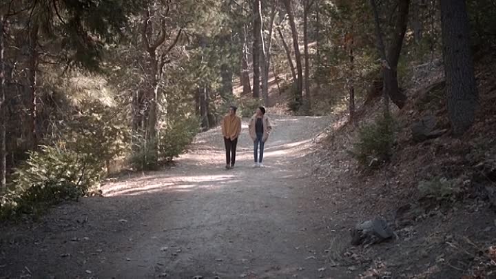 Evan Wood 2022 HDRip XviD AC3-EVO