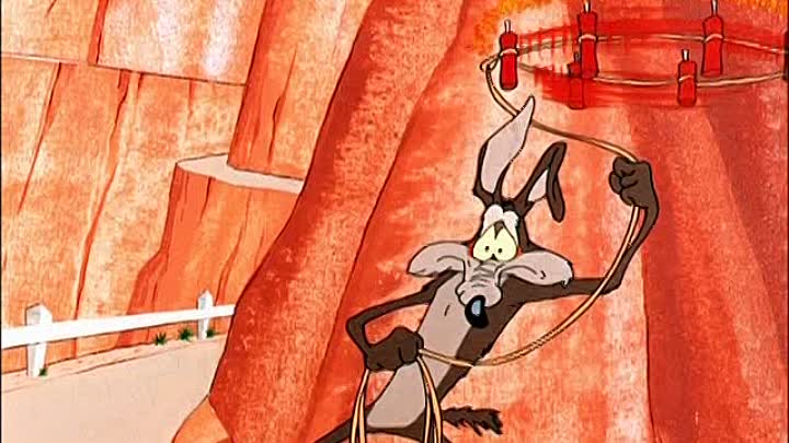 ⁣05 - Ready, Set, Zoom