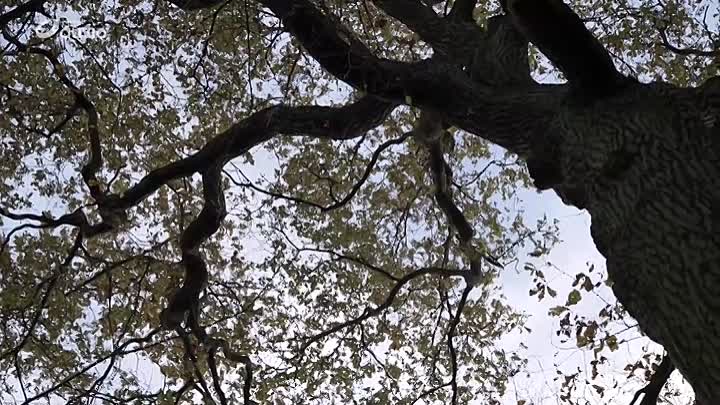 Un Alibi 2022 FRENCH HDRip x264-EXTREME