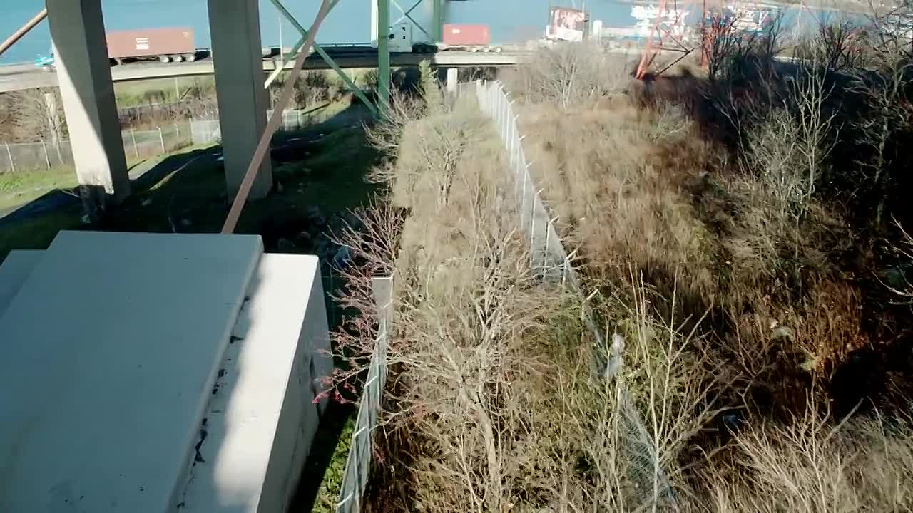 Death of a Blind Woman -What Happened to Holly Bartlett?