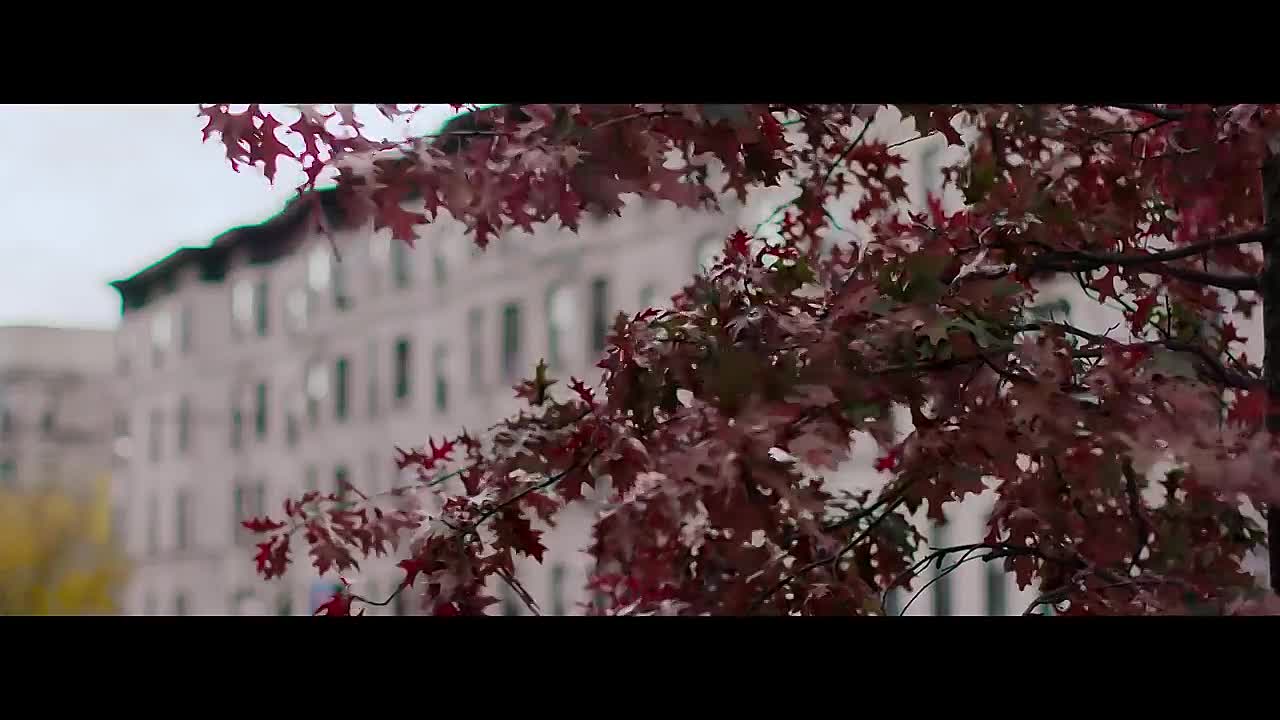 The Neighbors Window  -Oscar Winning Short