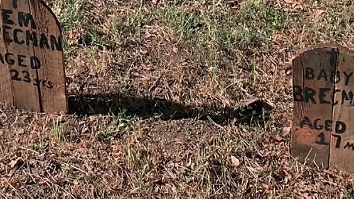 Above Snakes 2022 HDRip XviD AC3-EVO